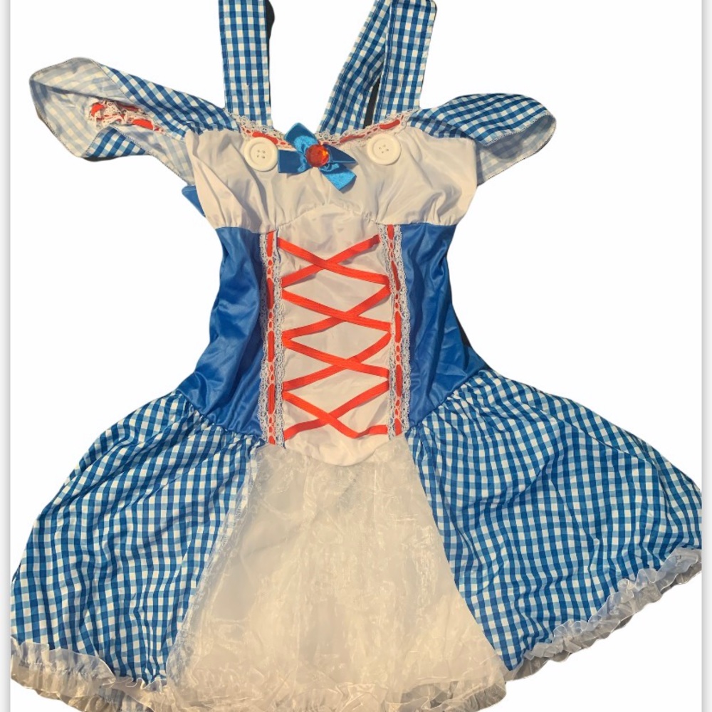 Dorothy adult light up costume XL